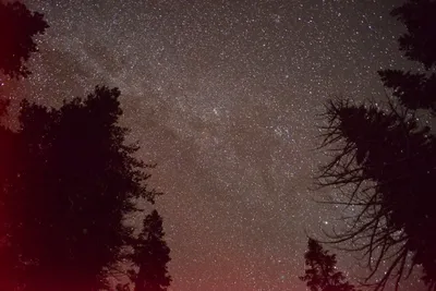 DSC_5990 (Large).JPG